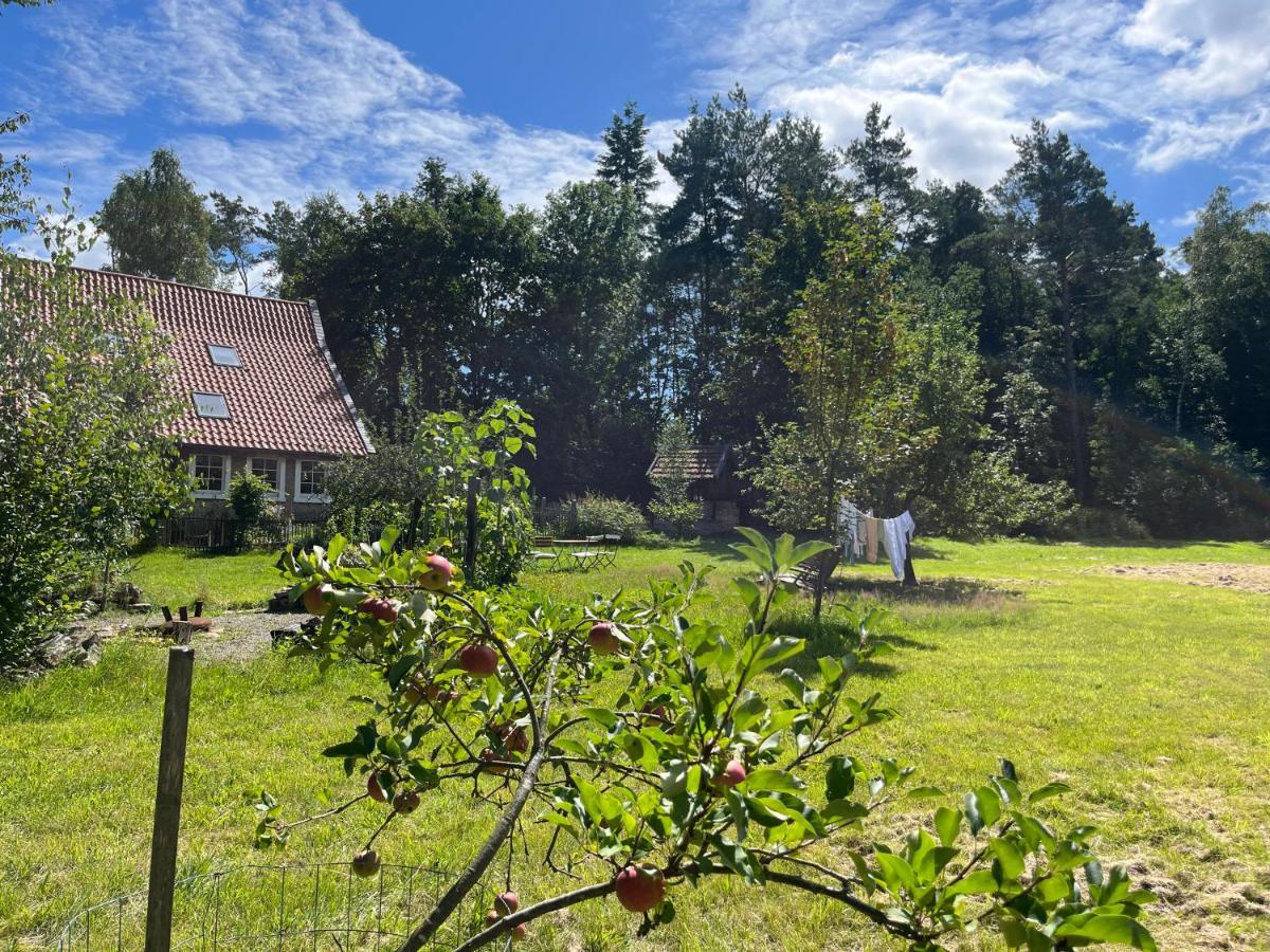 Gruen In Gruen Daire Detmold Dış mekan fotoğraf