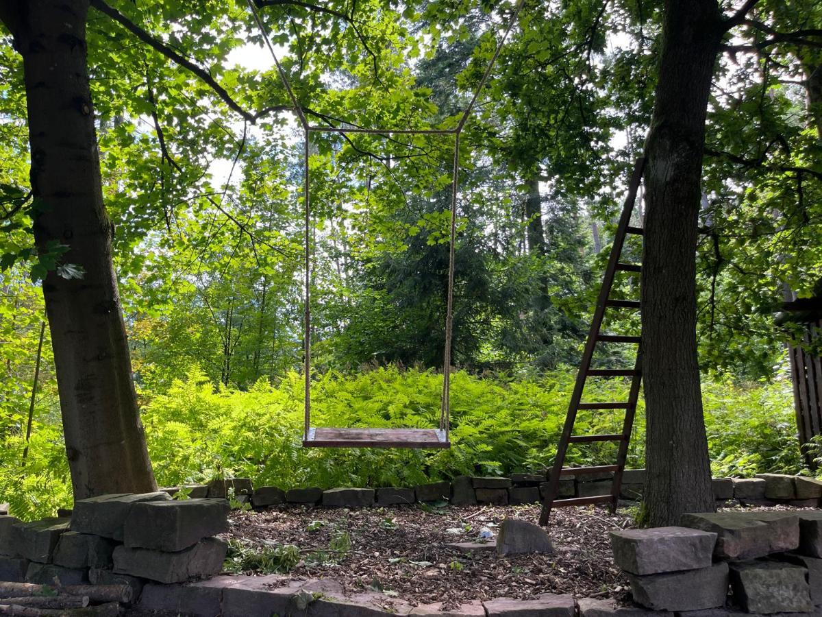 Gruen In Gruen Daire Detmold Dış mekan fotoğraf