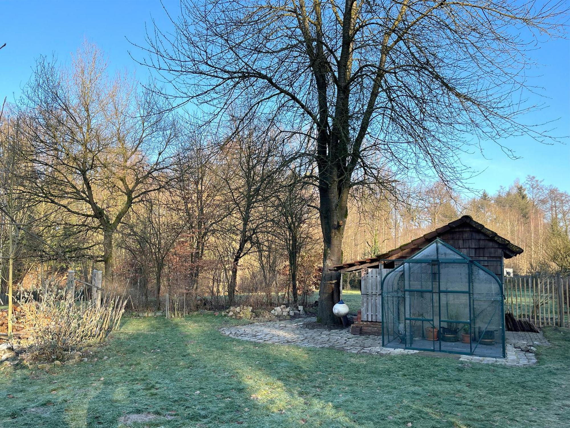 Gruen In Gruen Daire Detmold Dış mekan fotoğraf